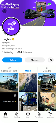 Zingbus